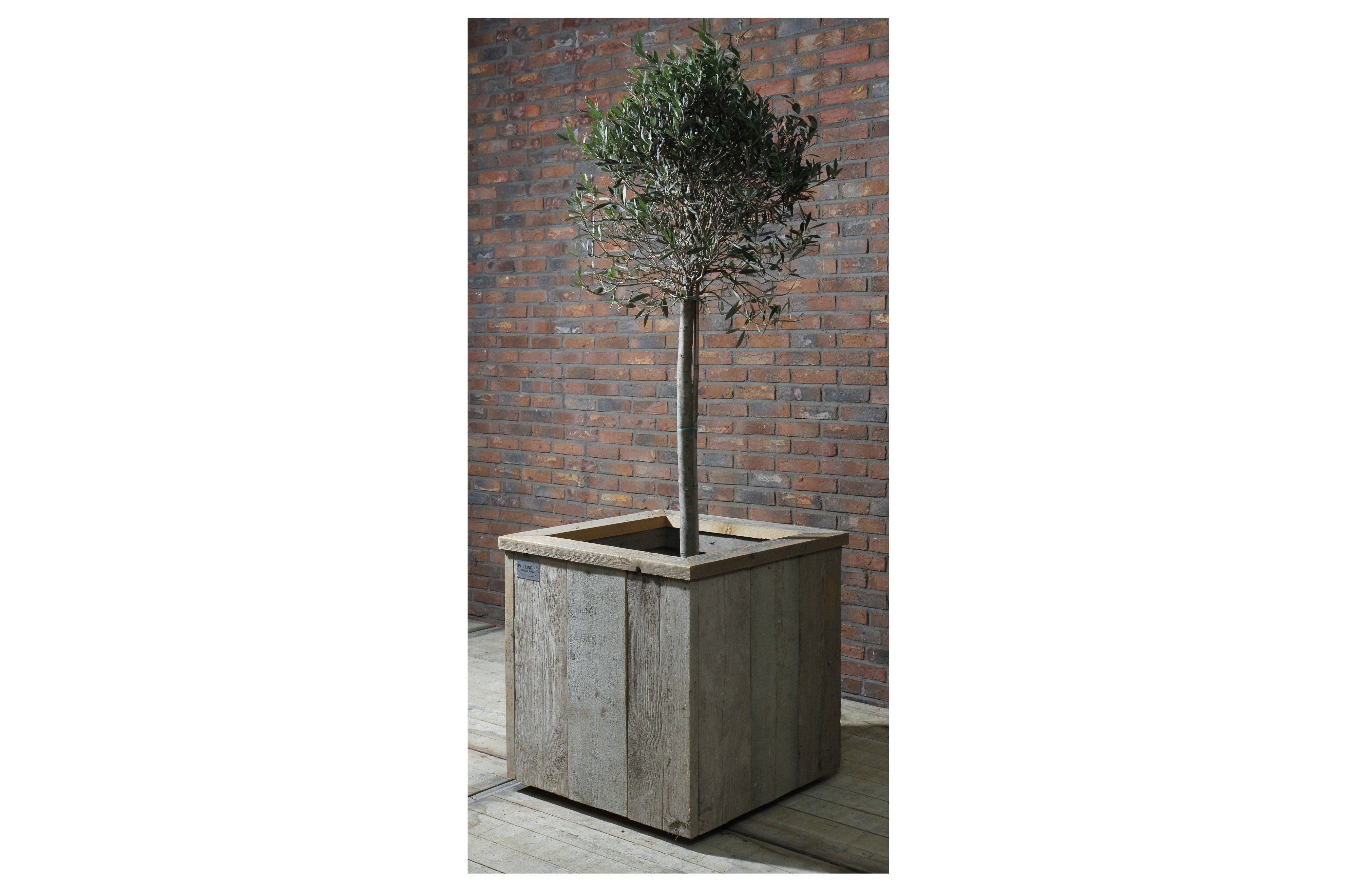 STEIGERHOUTEN BLOEMBAK 60CM X60CM