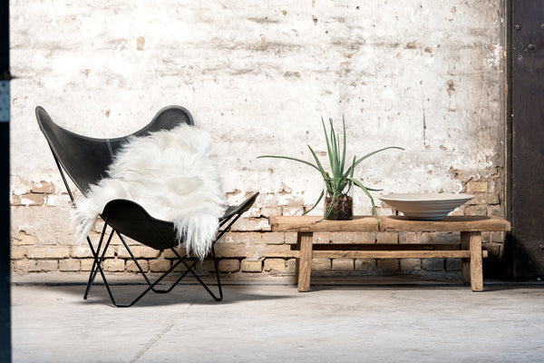 BASIC LANGHARIG IJSLANDS SCHAPENVACHT WIT