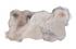 Basic schapenpatch Tapijt - Langwerpig   - Natuurlijk beige  ca 60cm x 130cm