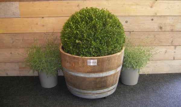 BLOEMBAK NATUREL