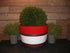 BLOEMBAK ROOD