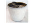 products/COW_OFF_WHITE_S_1.jpg