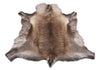 RENDIER VACHT BRUIN