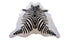 KOEHUID ZEBRA ZWART WIT