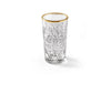 MONDGEBLAZEN WHISKY LONG GLAS HOBSTER 47 CL - SET VAN 2 GLAZEN