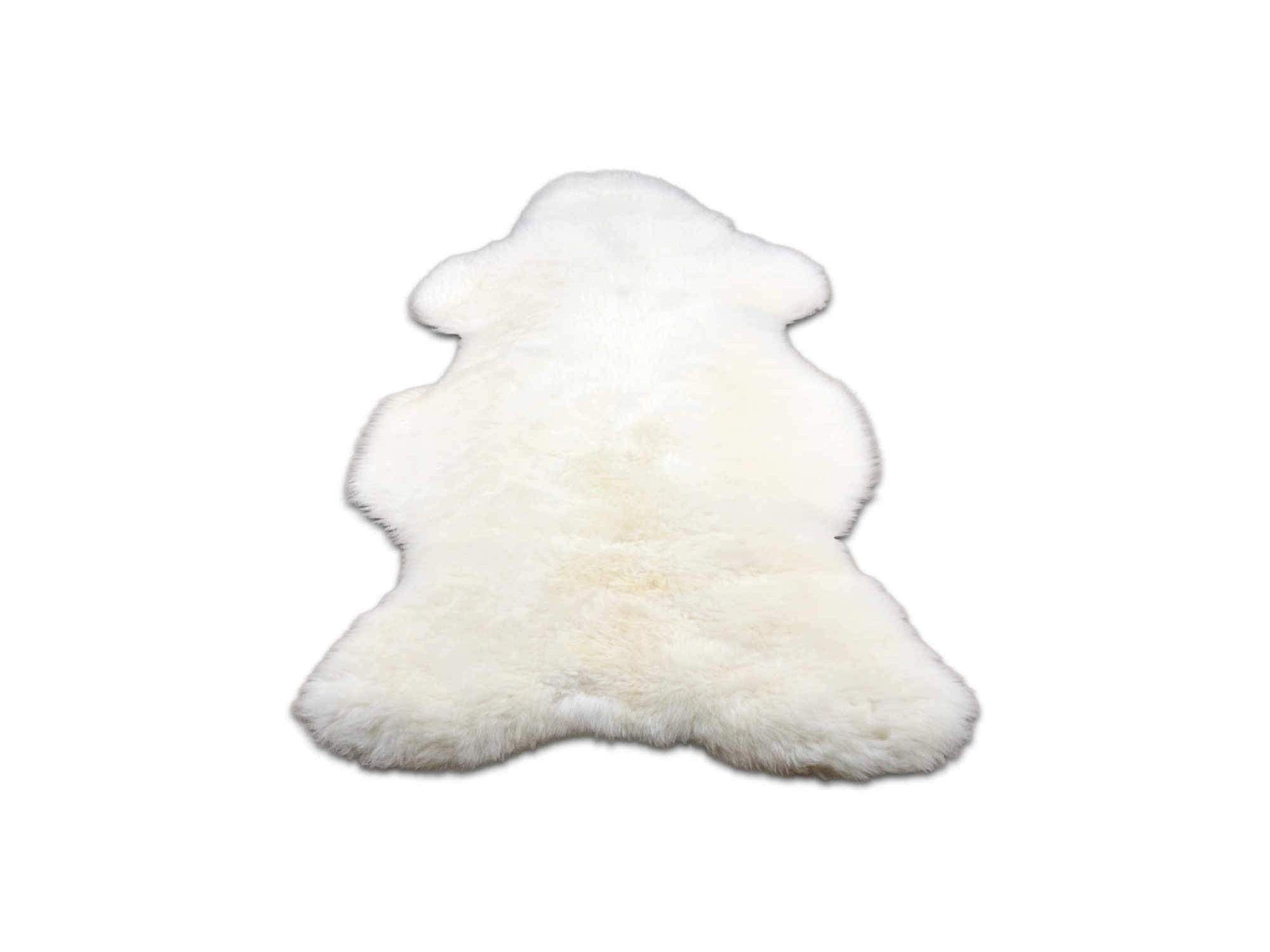 BASIC  SCHAPENVACHT WIT